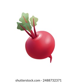 Beetroot with leaves, 3D. Useful vegetables for cooking, healthy food, diet, cooking. Vector illustration.