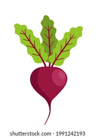 Beetroot with leaves cartoon vector illustration isolated on a white background