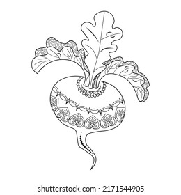 Beetroot with leaves and a doodle pattern on a white background. Black contour drawing. Coloring book for children and adults. Decorative design element