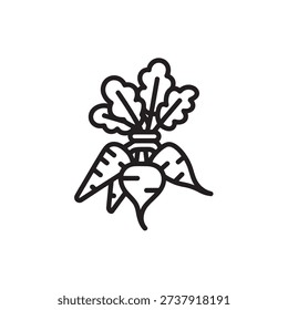 Beetroot with leaves illustration vegetable line art style image