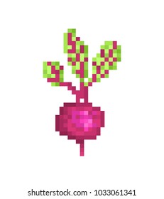 Beetroot with leaves isolated on white background, pixel art icon. Old school 8 bit slot machine pictogram of garden beet. Vegetable symbol. Retro 80s,90s video game graphics. Eco food market logo.