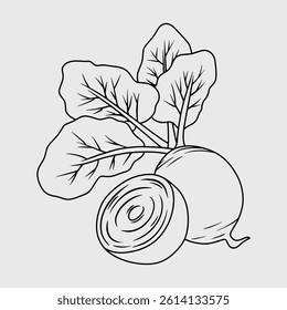 Beetroot with leaves. Thin line illustration