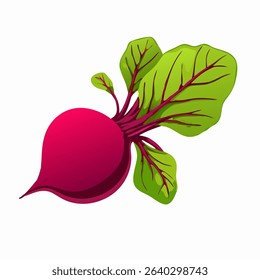 Beetroot with leaves vector isolated on a white background