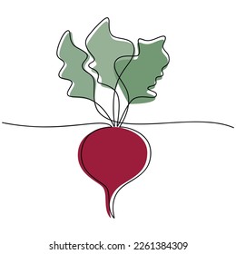 Beetroot with leaves vector. Line continuous hand drawn illustration. Vegetable outline icon. Garden plant  linear silhouette. Minimal design, print, banner, card, brochure, logo, menu.