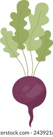 Beetroot On Stem Vector Illustration