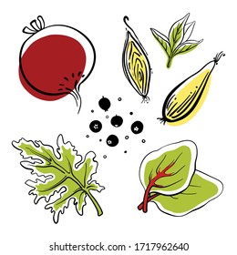 Beetroot, onion, black pepper, swiss chard, basil, kale. Colorful sketch collection of salad vegetables and herbs isolated on white background. Doodle hand drawn vegetable icons. Vector illustration