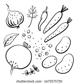 Beetroot, onion, potatoes, carrots, pepper, bay leaf, dill. Black line sketch collection of vegetables and herbs isolated on white background. Doodle hand drawn vegetable icons. Vector illustration