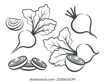 Esbozo del contorno de remolacha. Iconos negros de remolacha, enteros con hojas medio cuarto de verduras frescas de remolacha aisladas ilustraciones vectoriales aisladas