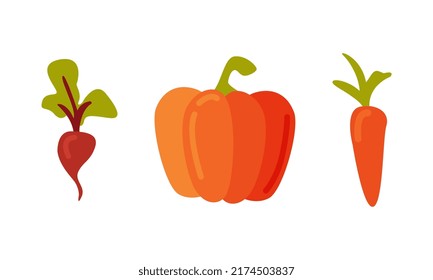 Beetroot, pumpkin and carrot. Fresh farm vegetables cartoon vector illustration