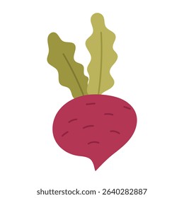 Beetroot, radish with tops. Proper nutrition. The flat color illustration is suitable for applications, posters about health, fitness, exercise, disease prevention and cardiac activity