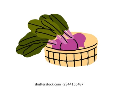 Beetroot, raw sweet beet root vegetable in basket. Fresh farm organic harvest, healthy food, natural vitamin veggies in wicker. Flat vector illustration isolated on white background