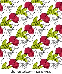 Beetroot seamless pattern background - Vector illustration 