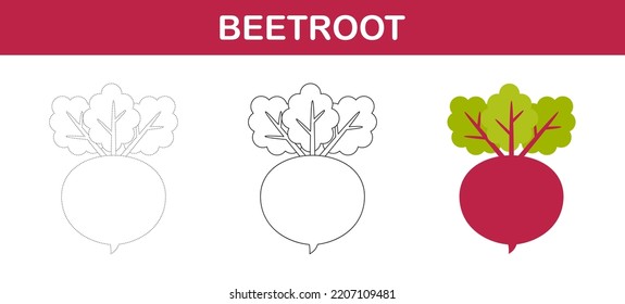Beetroot tracing and coloring worksheet for kids