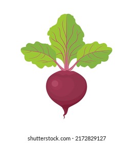 Icono plano del vector de remolacha. Alimentos saludables. Ilustración de la caricatura vegetal aislada en blanco.