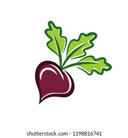 Beetroot vector illustration 