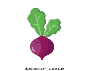 Beetroot  vector illustration. Beetroot  vector design. 