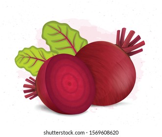 Beetroot Vector Illustration With Half Cutted Beetroot Piece