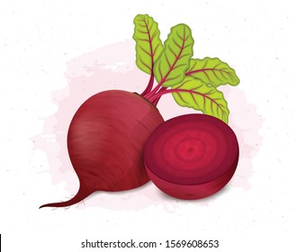 Beetroot vector illustration with half cutter beetroot