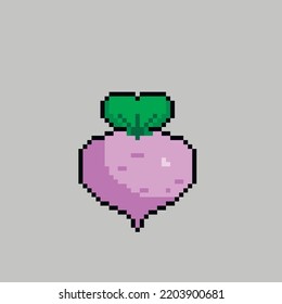Beetroot vector illustration in pixel art