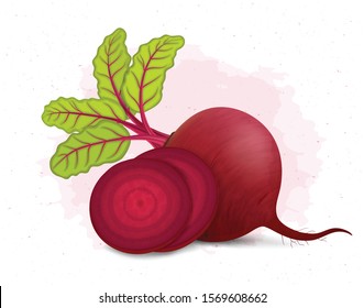 Beetroot vector illustration with round pieces of beetroot