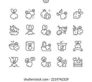 Beetroot vegetable. Cooking, recipes and price. Whole and cut beet. Food shop, supermarket. Beet juice. Pixel Perfect Vector Thin Line Icons. Simple Minimal Pictogram