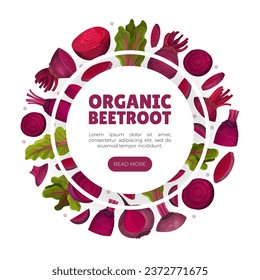 Beetroot Vegetable Crop Banner Design Design Vector Template