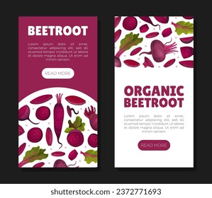 Beetroot Vegetable Crop Banner Design Design Vector Template