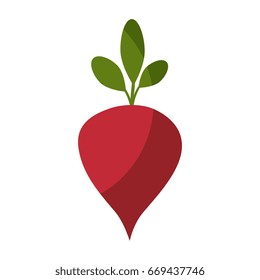 beetroot vegetable icon