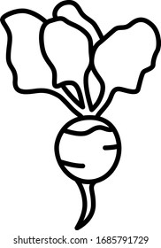 Beetroot Vegetable Icon Illustration Design