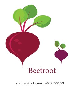 Beetroot Vegetable icon vector Illustration 