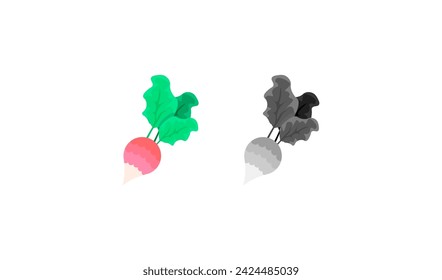 Beetroot vegetable icons. Different styles, beet icons, vegetables design. Vector icons