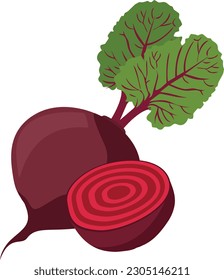 Verduras de remolacha, Ilustración de remolacha, arte del vector de remolacha, ilustración vegetal