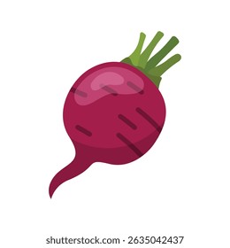 Beetroot vegetable with leaves icon in flat style. Beet plant vector illustration on isolated background. Healthy food sign business concept.