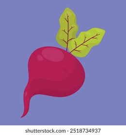 Remolacha vegetal o rábano con hojas. Vector de icono de remolacha.