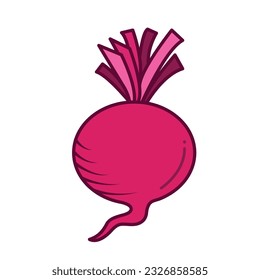 Beetroot vegetable reddish pink vector icon colored illustration isolated on square white background. Simple flat cartoon vegetable healthy natural food ingredients drawing.