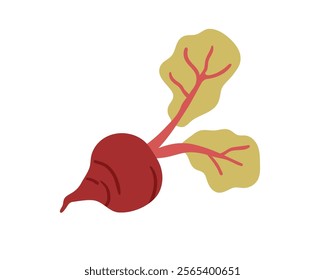 Beetroot vegetable with top leaves. Organic natural agriculture crop, sugar beet root. Farm tuber, healthy harvest, eating. Flat graphic vector illustration isolated on white background