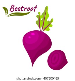 Beetroot vegetable vector illustration. Beet root with leaves growing and slice isolated on white. Vegetarian salad food and juice for healthy lifestyle.