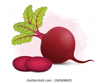 Beetroot Vegetable Vector Illustration With Beetroot Slices