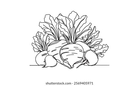 beetroot vegetables on a white background