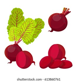 Beetroot whole half and slices isolated on white background. Purple beet with fresh green leaves realistic vector illustration. Healthy organic vegetable with edible root