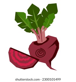 Beetroot whole and single cut slice in decorative style, flat vector illustration isolated on white. Beet vegetable icon or sign for food and juice packs, prints on kitchen utensils.