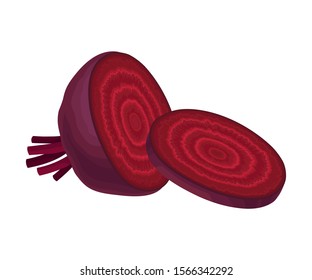 Beet-Root Without Beet Tops Cut into Sections Vector Illustration