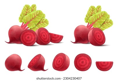 Beetroots isolated on white background. Fresh red beetroot whole, half, quarters and slices with leaves. Realistic 3d vector illustration of vegetarian food. Delicious food for salad, soup, borscht.