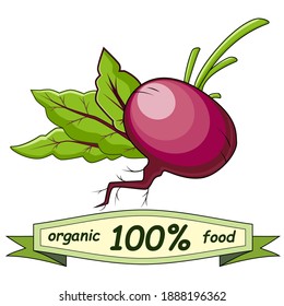 beets in color, isolated object on a white background, vector illustration