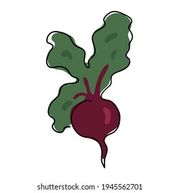 Beets are drawn with a single black line. Doodle style. Under the main line are colored green and purple spots. Linear style. Stock vector illustration. Isolated object. Stock vector illustration