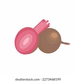 Beets, fresh beet root. beetroot illustration. design flats.