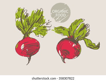 beets   hand drawn sketch, vector