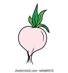 beets icon vector