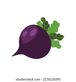 Beets in their natural state, with their leaves. Illustration in vector format White background isolated.