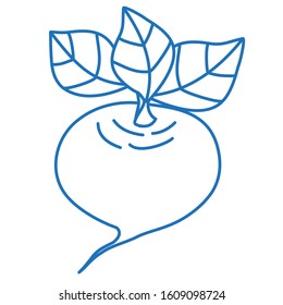 beets or turnips, blue linear icon on white isolated background